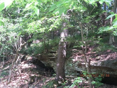 0000- Hwy 170 Devils Arkansas 170, West Fork, AR 72774 - photo 7