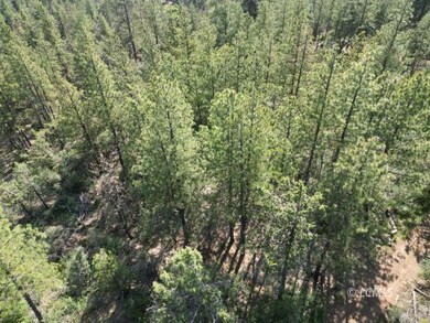 0 Sandpiper Dr unit 3007715, Beatty, OR 97621 - photo 2