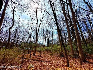 327 Maple Rd, Effort, PA 18330 - photo 7