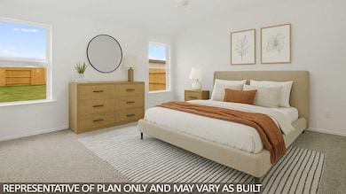 3041 Brizzo Beach Ln, Park Row, TX 77493 - photo 3