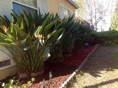 5423 Oliva Ave, Lakewood, CA 90712 - photo 5