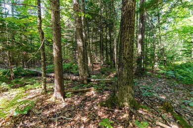 00 Clarks Landing Rd unit 160/032/000, Moultonborough, NH 03254 - photo 7