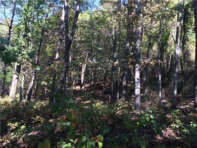 Land/Lot.