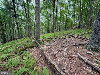 Lot 20 Wits End, Mathias, WV 26812 - photo 7