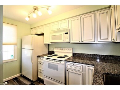 Remodeled Kitchen with an Abundance of Custom Diam