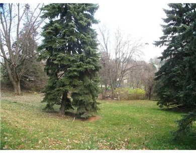 Yard/Garden.