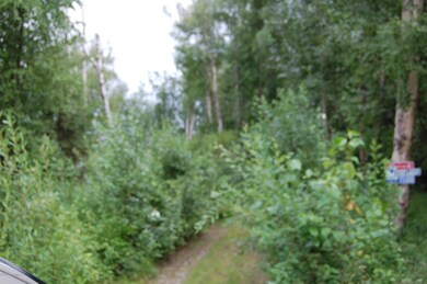 Driveway entrance
