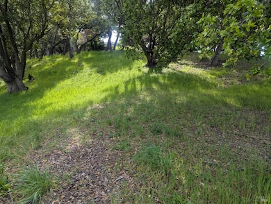 1163 Meadowsweet Dr, Corte Madera, CA 94925 - photo 6