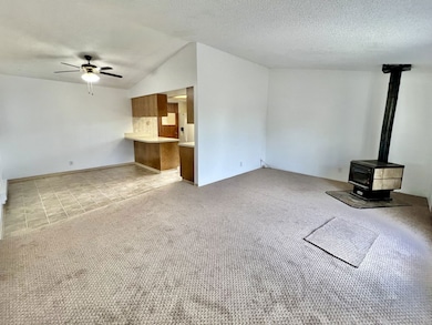 496 Charlwood Ln, Spring Creek, NV 89815 - photo 3