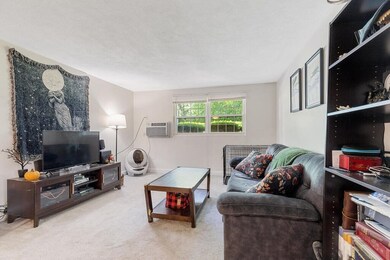 1 Walker Rd unit 4, North Andover, MA 01845 - photo 6