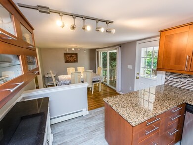 31 Lunda St, Waltham, MA 02451 - photo 7