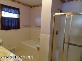 Master Bath tub and shower