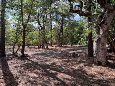 51 Oliva Dr, Hayfork, CA 96041 - photo 3