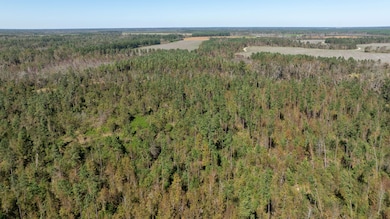 0 Highway 17 unit 21752659, Midville, GA 30441 - photo 3