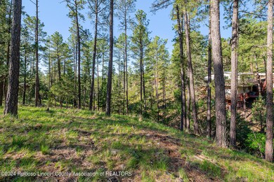 321 Hemlock Cir 6