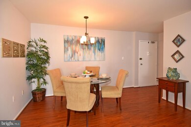 200 Park Terrace Ct SE unit 10, Vienna, VA 22180 - photo 7