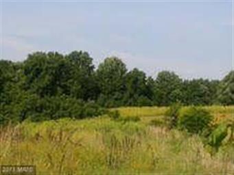 354 S River Clubhouse Rd, Harwood, MD 20776 - photo 2