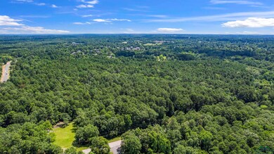 Drone / aerial view of a forest