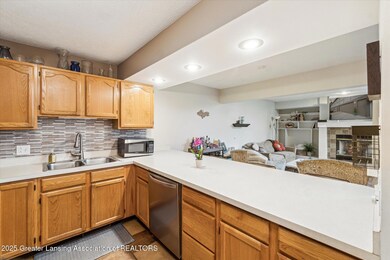 05-4119-Norfolk-Ct-Lansing-MI-48910-Wind