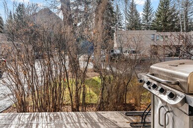 814 W Bleeker St unit C1, Aspen, CO 81611 - photo 5
