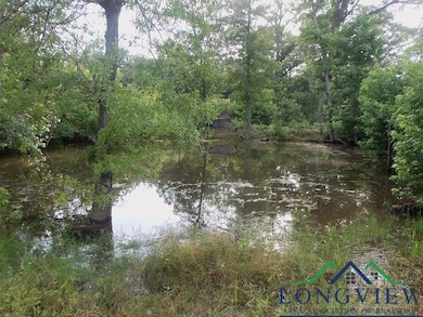 Water view featuring a forest