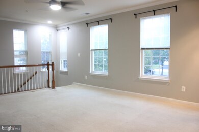 13418 Bluebeard Terrace, Clarksburg, MD 20871 - photo 5