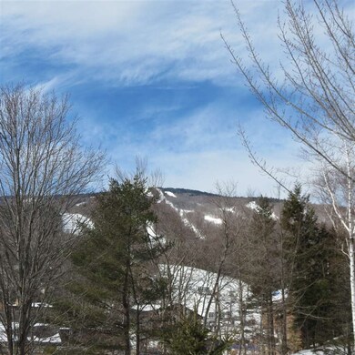 2 Spaulding Farm Rd, Ludlow, VT 05149 - photo 4