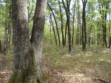 60 Ac 22nd St, Cutler, WI 54618 - photo 4