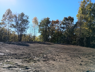 0 Clouse Hill Rd, Pelham, TN 37366 - photo 2