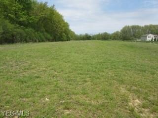 V/L E Hamilton St, New Russia, OH 44074 - photo 2