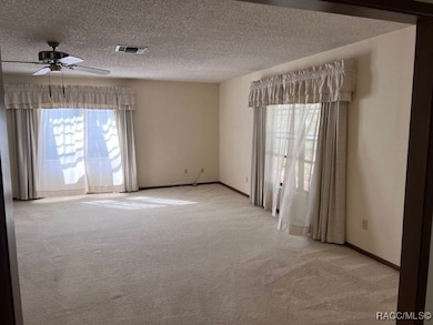 29 Sycamore Cir, Homosassa, FL 34446 - photo 7