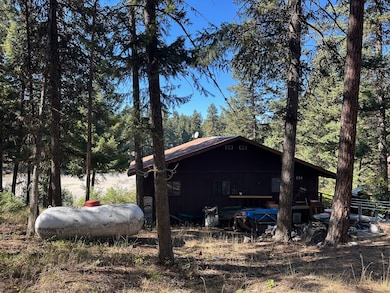 View of side of cabin situated among pine trees on Lavon Lake frontage.