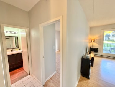 view into unit from it's foyer