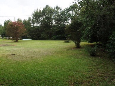 Rear yard