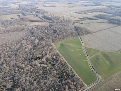 000 County Highway 7 County Rd, Cisne, IL 62823 - photo 7