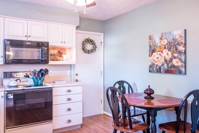 1115 Sharpes Dr, Harrisonburg, VA 22801 - photo 3