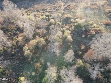 Tbd Sulphur Springs Rd, Jonesville, VA 24263 - photo 4