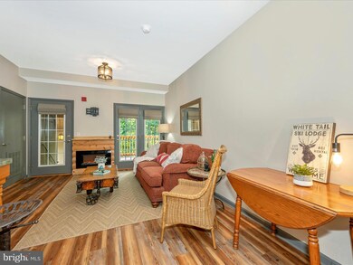 14200 Northern Lights Dr unit 30, Mercersburg, PA 17236 - photo 6