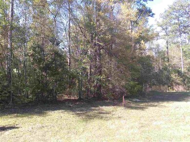 XX Citation Way, Crawfordville, FL 32327 - photo 5