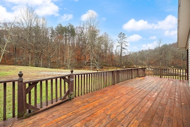 1324 Kentucky 399, Old Landing, KY 41311 - photo 4