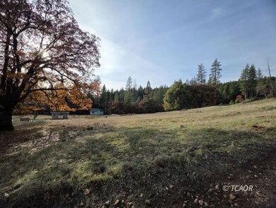 4000 Fs Rd, Hayfork, CA 96041 - photo 4