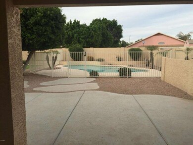 back patio 1