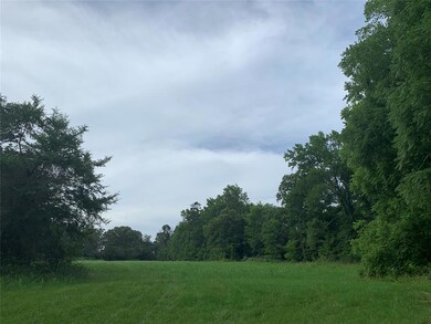 View of nature