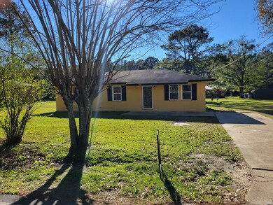 3791 New Hope Rd, Pelham, GA 31779 - photo 2