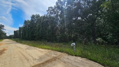 0 Brett Ave unit 25703619, Interlachen, FL 32148 - photo 6