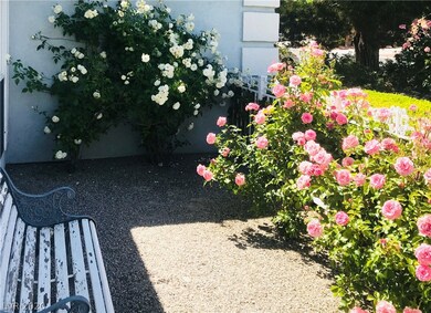 Roses in the Springtime! Light breezes, sunshine,