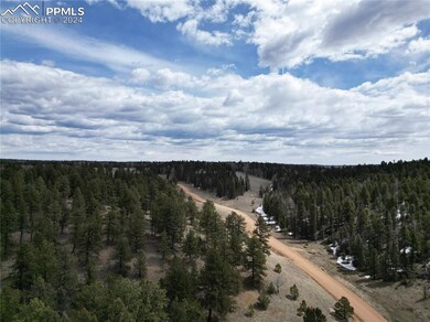 LOT 3 Highway 24, Divide, CO 80814 - photo 4