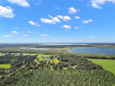 11001 Moon Crest Ln, Leesburg, FL 34788 - photo 4