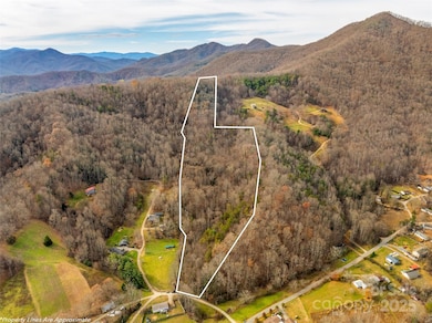 99999 Bay Horse Trail, Candler, NC 28715 - photo 2