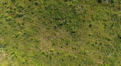 9ac Ouzts Rd, Edgefield, SC 29824 - photo 3